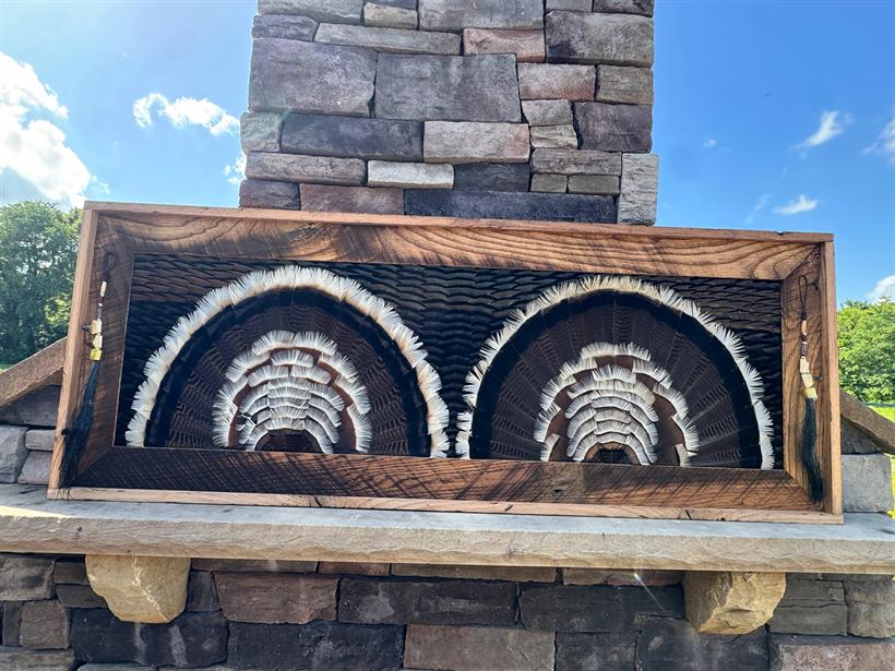 Two full turkey fans preserved side by side in one long reclaimed barnwood frame with beard tassels, against blue sky