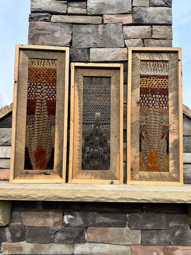 Three-panel set of pheasant and upland bird feathers in reclaimed oak frames on a stone mantel