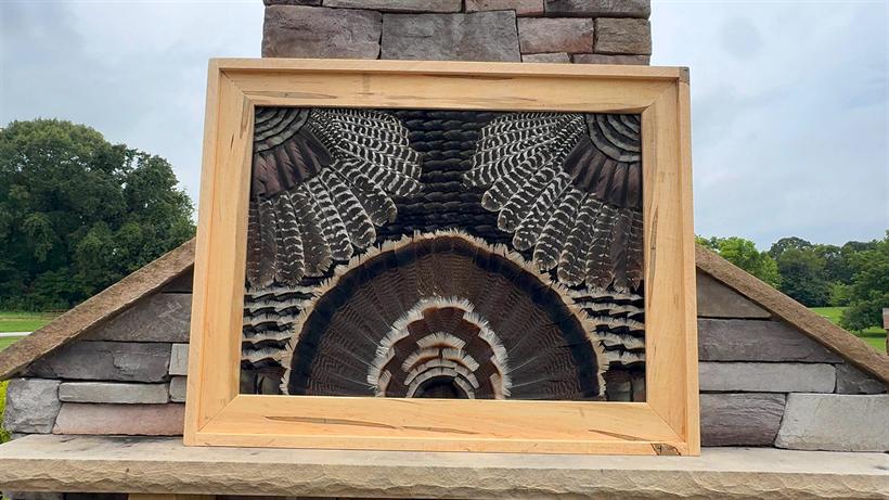 Wide hard-maple frame pairing a turkey fan with symmetrical wing fans spread above it